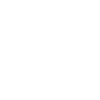 Logo-Audi-Light